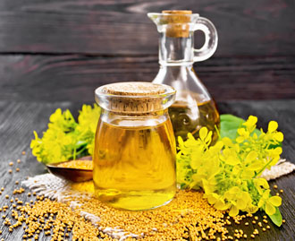 Canola Oil