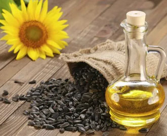 Sunflower Oil